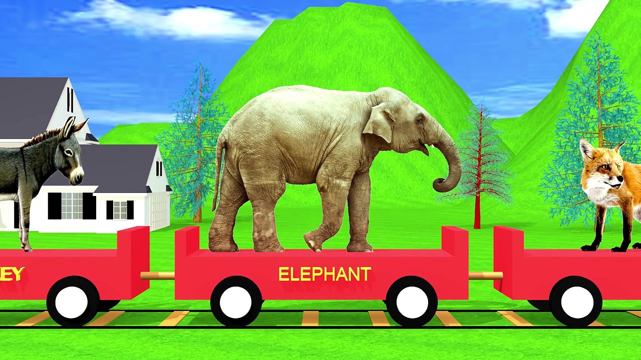Englisch - The Animal Animation