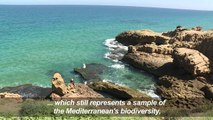 Morocco's Hoceima park seeks to protect its biodiversity