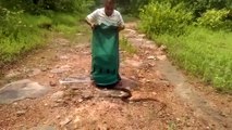 A man release a lot of snakes | horrible moment of releasing these snakes