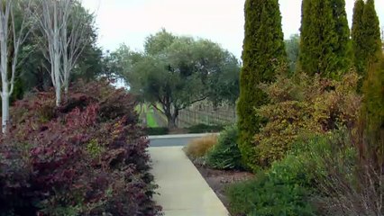 Darioush Winery, Napa Valley, California, USA