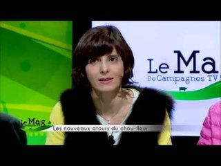 Campagne TV - Le chou-fleur avec Régal