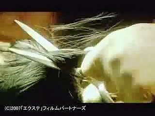 映画「エクステ」　予告　Hair extensions trailer