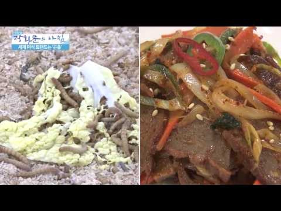 세계 미식 트랜드는 '곤충' [광화문의 아침] 43회 20150805