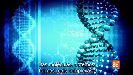 Através do Buraco de Minhoca - Ep7 - Do Que Realmente Somos Feitos ?