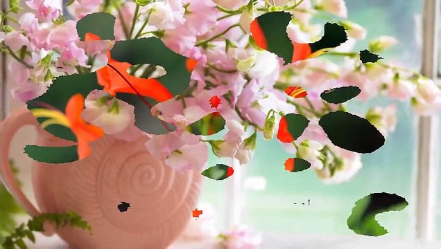 X Patty tanti auguri di buon compleanno da parte di mamma e babbo