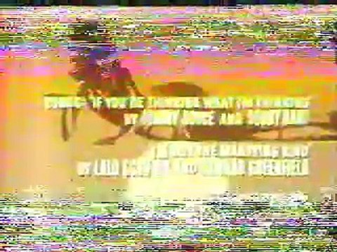 Silencers/（殺人部隊）Murderer's Crew Matt Helm　日本語版