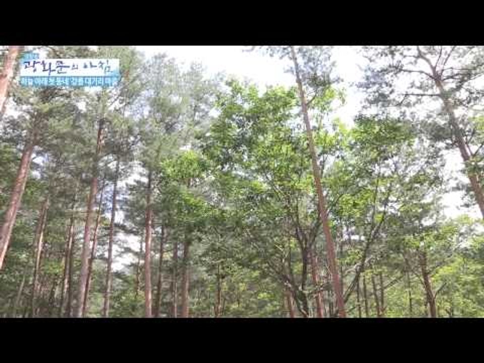 하늘 아래 첫 동네 '강릉 대기리 마을'  [광화문의 아침] 40회 20150731