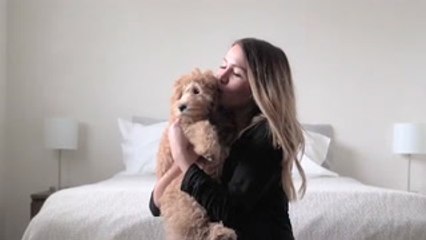 This smart collar will make pet care a walk in the park