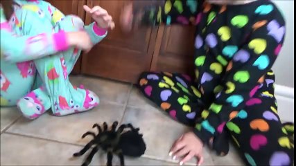 Bad Baby Giant Spider vs Spatula Girl Victoria Annabelle Toy Freaks Daddy Hidden Egg