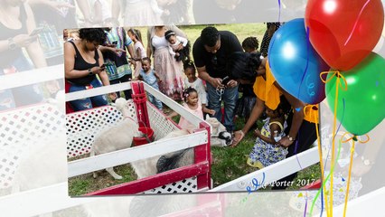 Madison's Birthday Party (04-15-17)