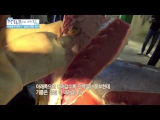 다양한 맛! '바다의 귀족' 참치  [광화문의 아침] 39회 20150730