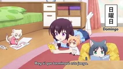 Nyanko Days Capitulo 2 Sub Español