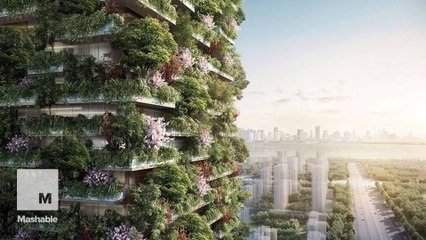 China's big, beautiful, green 'vertical forests' will suck up toxic smog