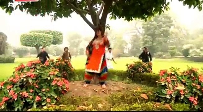 Pashto New Songs 2017 Alai Jo Alai Jo New Album 2017 Shonde Sharabi Laram VOL 5 By Neelam Gul