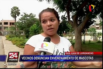 SJL: vecinos denuncian envenenamiento de mascotas