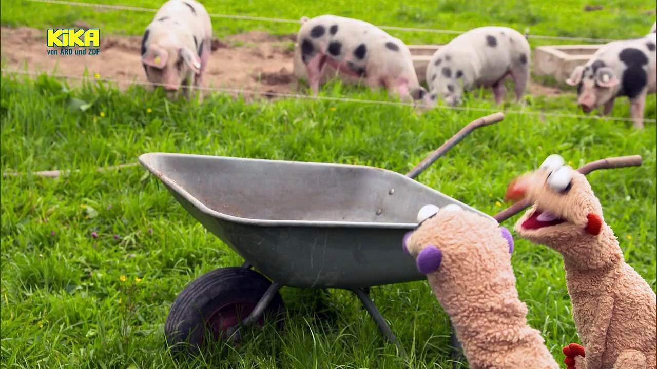 Jan & Henry - 39. Die Königin mit der Schubkarre