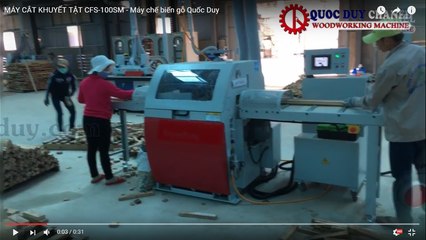 MÁY CẮT KHUYẾT TẬT TỐC ĐỘ CAO TỐT NHẤT TẠI TPHCM