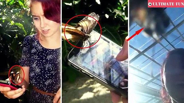 35 Funny Animals Photo Proves That They Like Photo Shoot