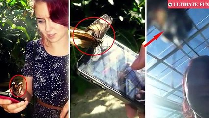 35 Funny Animals Photo Proves That They Like Photo Shoot