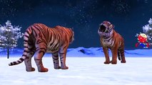 Tiger Cartoons Singing Johny Johny Yes Papa Nursery Rhymes for Children and More Nursery Rhymes