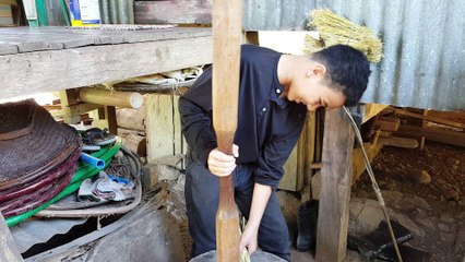 See How Rice is Treshed, The Traditional Way - Pounding Rice is Fun 1/4