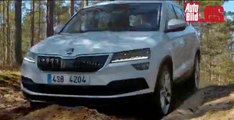 VÍDEO: Skoda Karoq: sin camuflaje y en acción, ¡por fin!