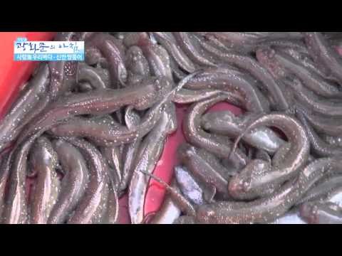 톡 쏘는 맛이 일품! 홍어요리 [광화문의 아침] 32회 20150721