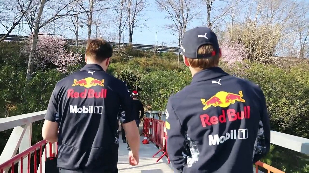Max Verstappen's walk to see the fans