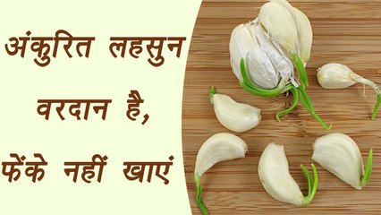 Sprouted garlic, अंकुरित लहसुन फेंके नहीं खाएं , मिलेंगे खूब फायदे | BoldSky