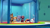 Paw Patrol English Pup Pup Goose Pup Pup and Away part 8