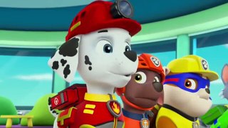 PAW Patrol Pups Save a Sniffle 2