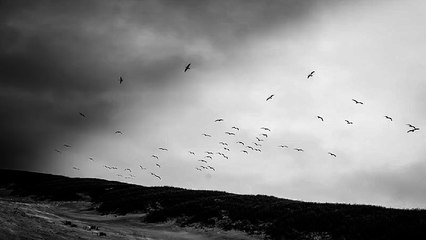 구의오피 오피쓰 OPSS3닷컴 구의건마  님(어머님의 동생), 사촌누나(이모님