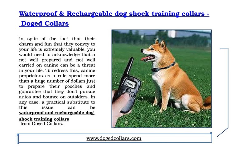 Waterproof Rechargeable Dog Shock Training Collars Doged Collars