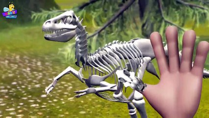 Finger Family Dinosaur Skeleton Family Nursery Rhyme _ 3D Finger F