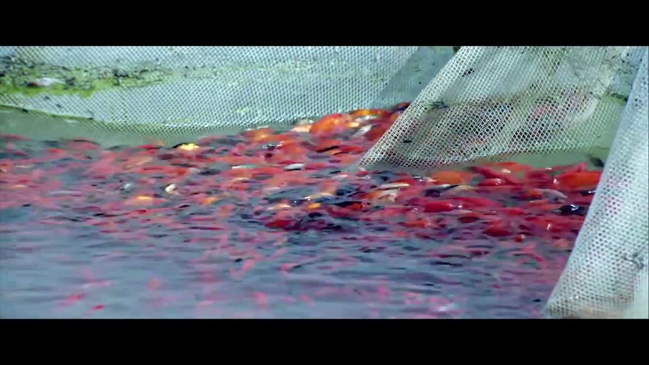 Un Homme intègre - Bande Annonce