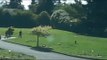 Video Appears to Show Workers Golfing Inside Northern California Cemetery