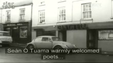 Bootboys Dublin 1973