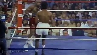 Marvin Hagler vs Marcos Geraldo Highlights Great FIGHTing