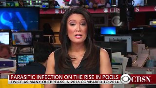 Outbreaks in pool parasite infection doubles