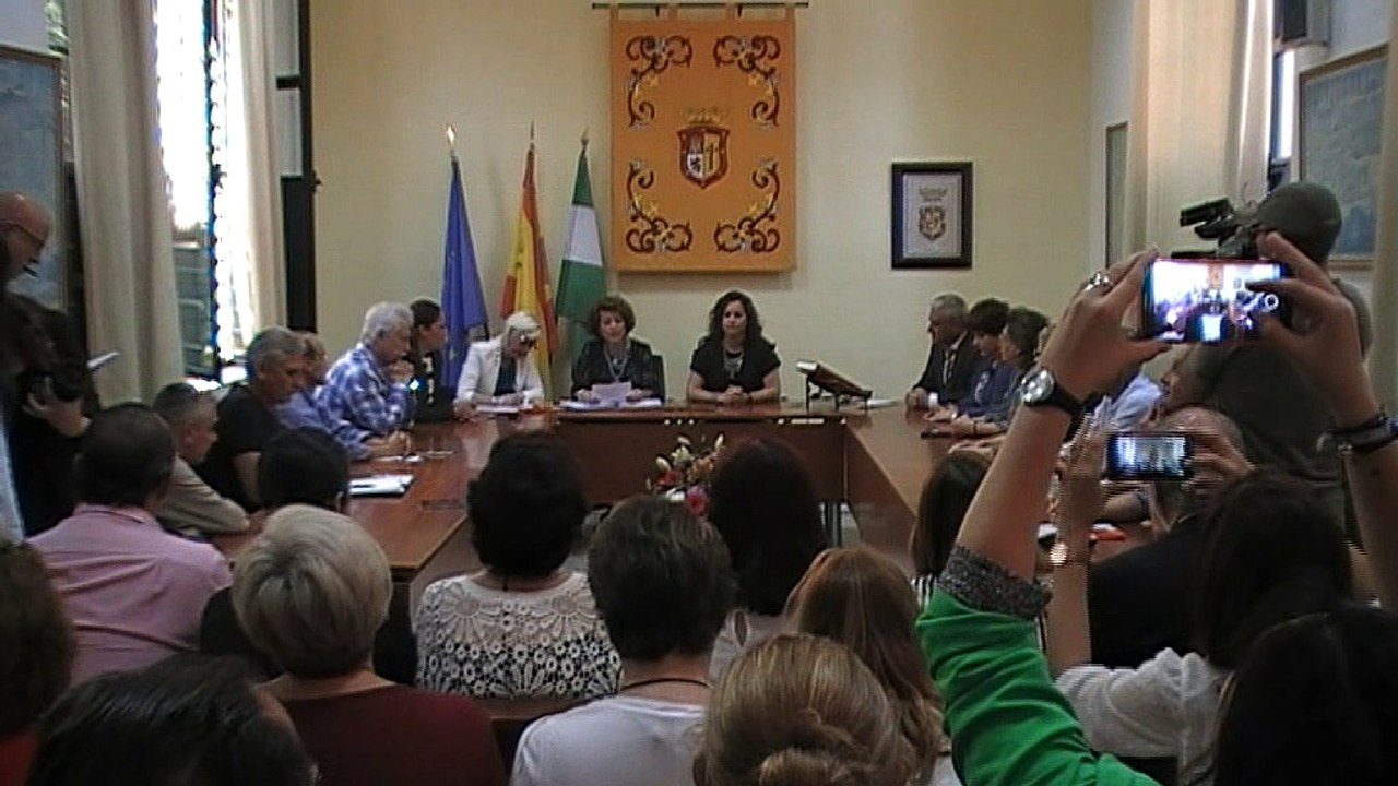 pleno 19 de Mayo de 2017