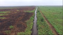 Indonesia plans measures to protect peat reserve