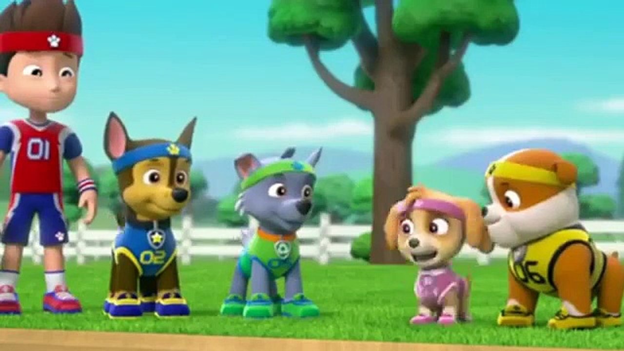 paw patrol all star pups