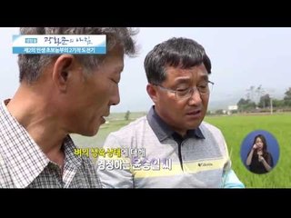 초보 농부의 벼 2기작 도전기 [광화문의 아침] 30회 20150717