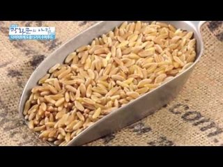 비만을 예방하는 슈퍼푸드!  [광화문의 아침] 28회 20150715