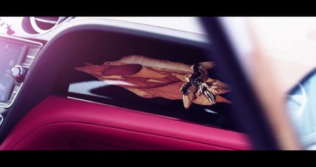 The new BENTLEY Falconry Trailer