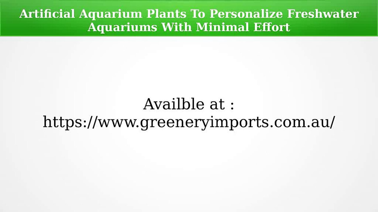 Artificial Aquarium Plants To Personalize Freshwater Aquariums With Minimal Effort