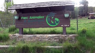 Parc animalier d'Auvergne : Repas des Lions
