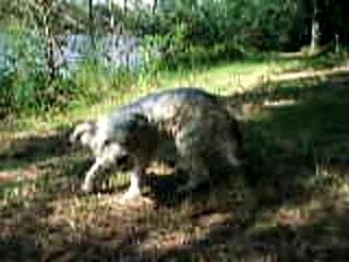 St christoly le 080807