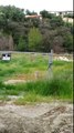 Barking Coyotes In The Foothills Of The San Gabriel Mountains In California