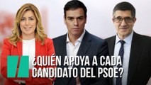 ¿Quién apoya a cada candidato del PSOE?
